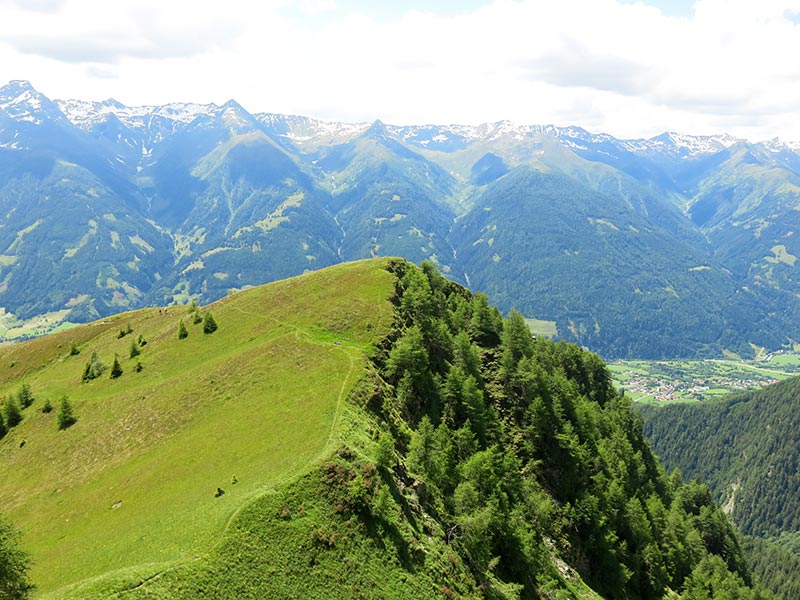 Hintereggkogel